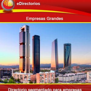 Empresas Grandes