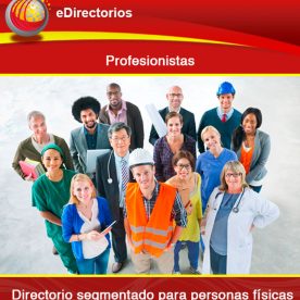 Profesionistas