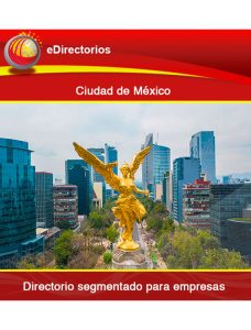 Cadenas de tiendas que estÃ¡n en centro comerciales , empresas de retail con mÃ¡s de 10 sucursales regadas en todo Mexico y Gasolineras en Ciudad de MÃ©xico.