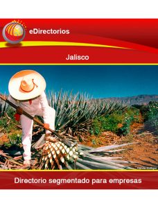 Empresas trasnacionales, en la Zona metropolitana de Guadalajara.